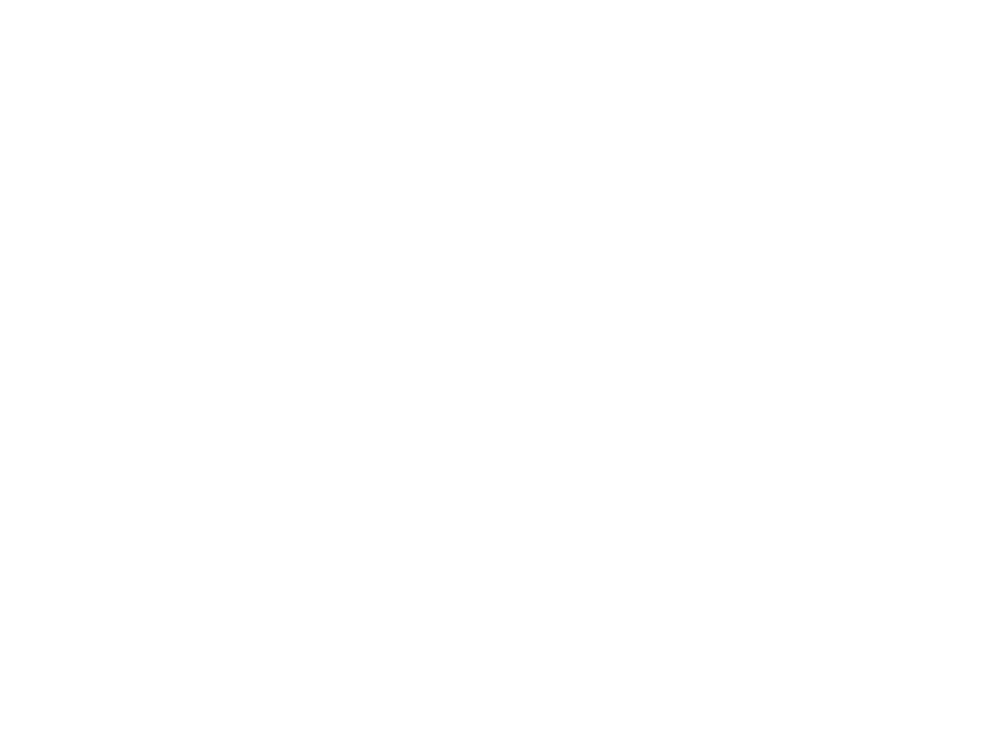 NeonProxies logo